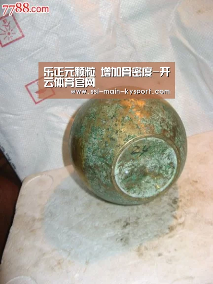 乐正元颗粒 增加骨密度-开云体育官网(图3)