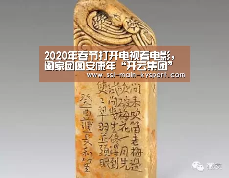 2020年春节打开电视看电影,阖家团圆安康年“开云集团”(图3) 2020年春节打开电视看电影,阖家团圆安康年“开云集团”(图3)
